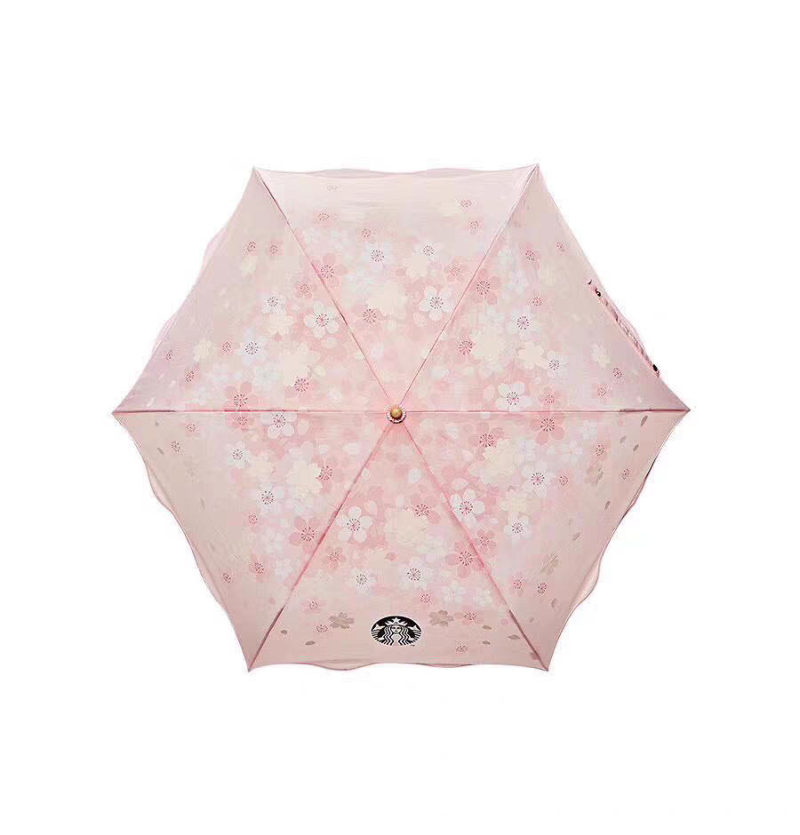 스타벅스 벚꽃 우산 접이식